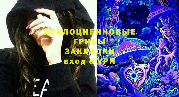 не бодяженный Арсеньев