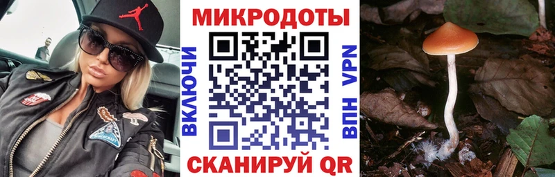 хочу   маркетплейс состав  Псилоцибиновые грибы мухоморы  Балей 